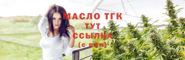 СК Елабуга