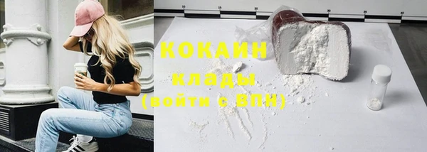 тгк Абаза