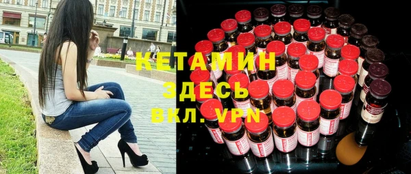 гидра Ельня