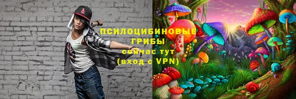 тгк Абаза