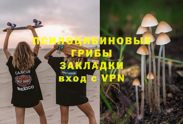амф Абинск