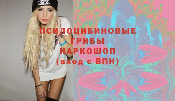 тгк Абаза