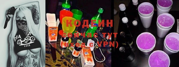 тгк Абаза