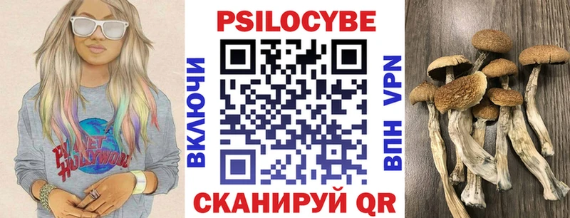 Галлюциногенные грибы Psilocybine cubensis  Ленинградская 